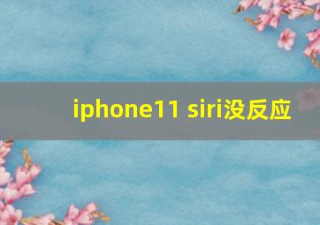 iphone11 siri没反应